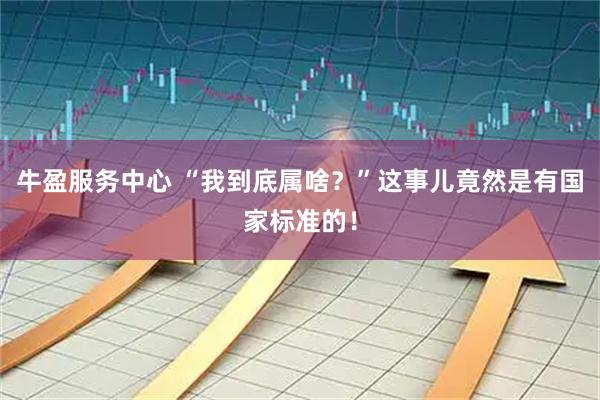 牛盈服务中心 “我到底属啥？”这事儿竟然是有国家标准的！